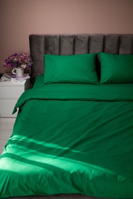 Комплект постільної білизни Поплін, зелений 100% бавовна 00109 фото
