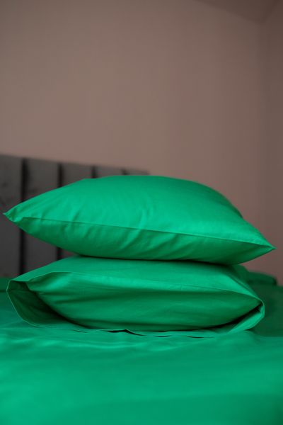 Комплект постільної білизни Поплін, зелений 100% бавовна 00109 фото